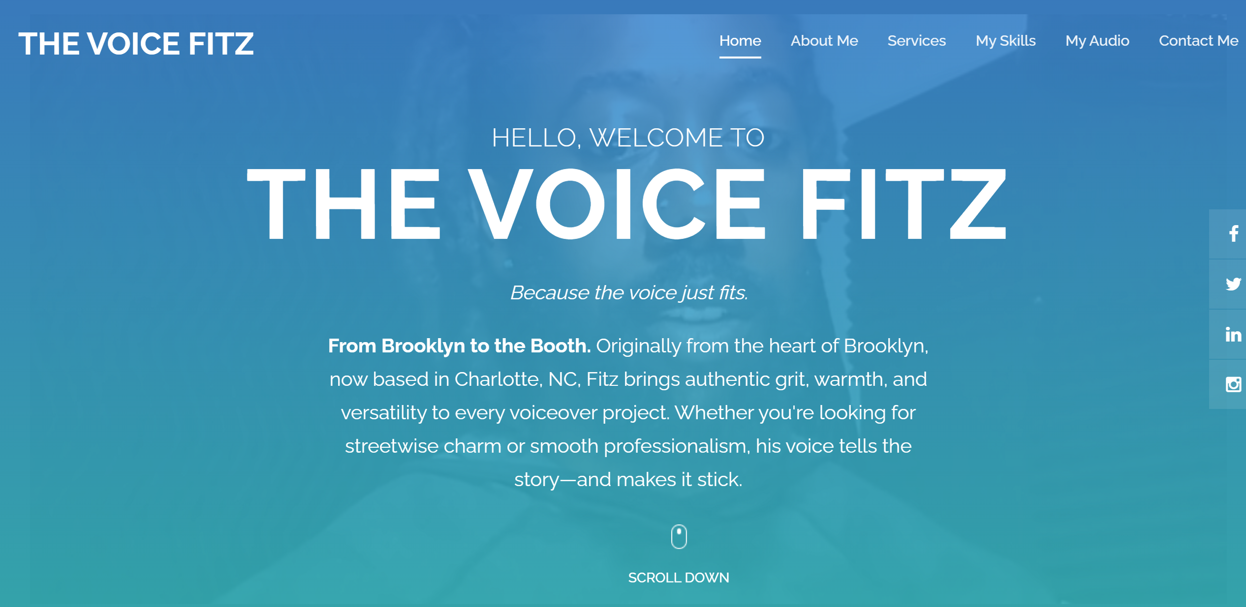 the voice fitz website