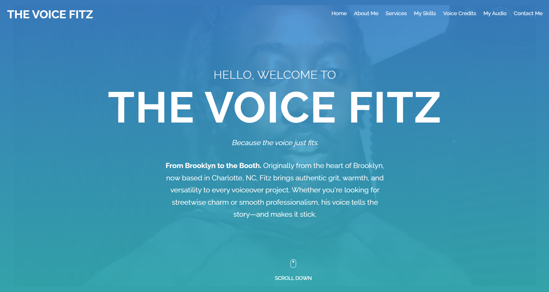 The Voice Fitz website preview